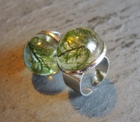Moos-Ring